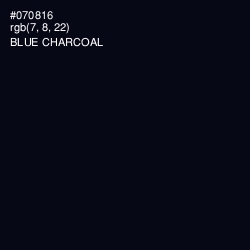 #070816 - Blue Charcoal Color Image
